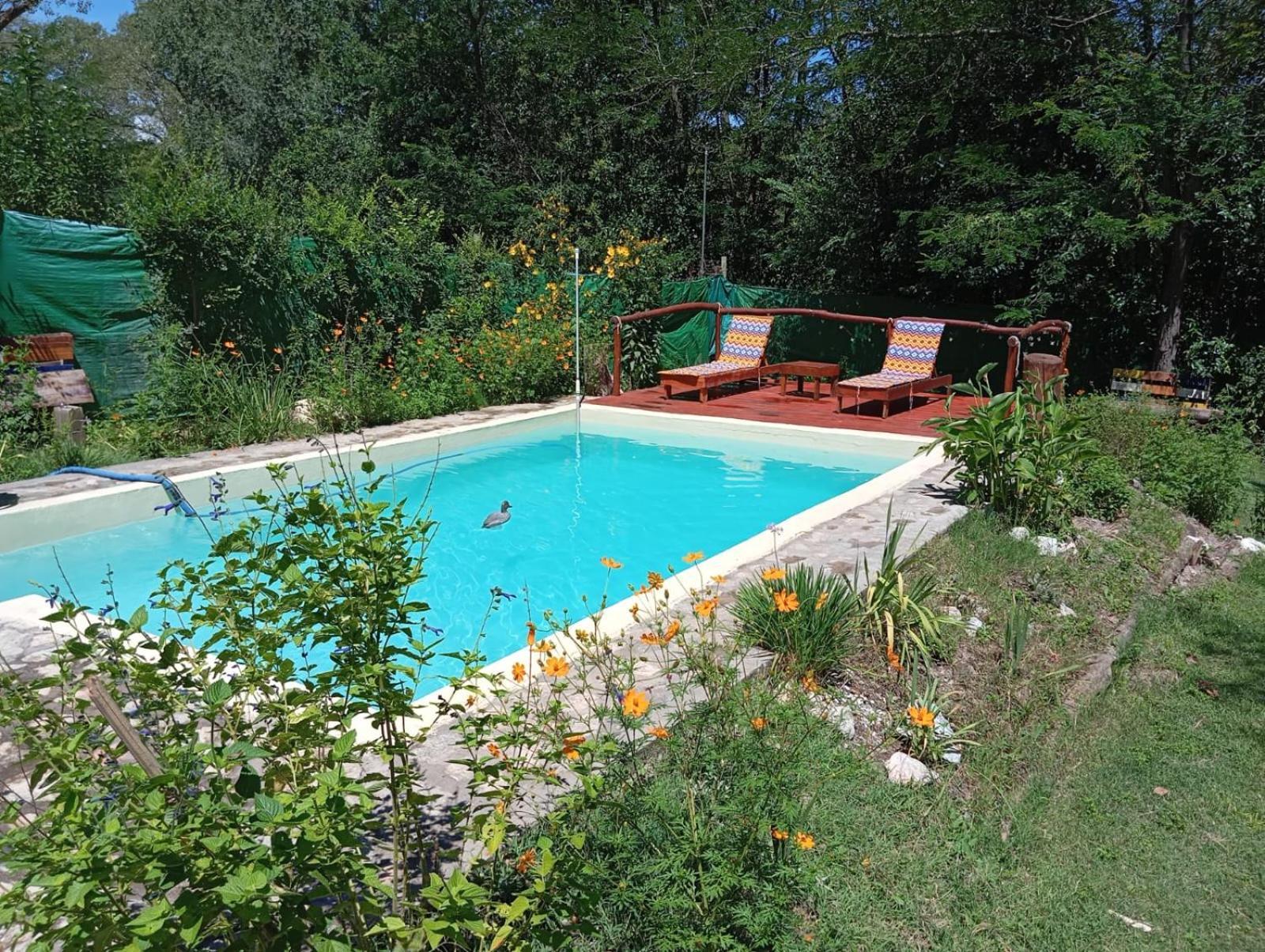 Villa La Isolina Villa Giardino Luaran gambar